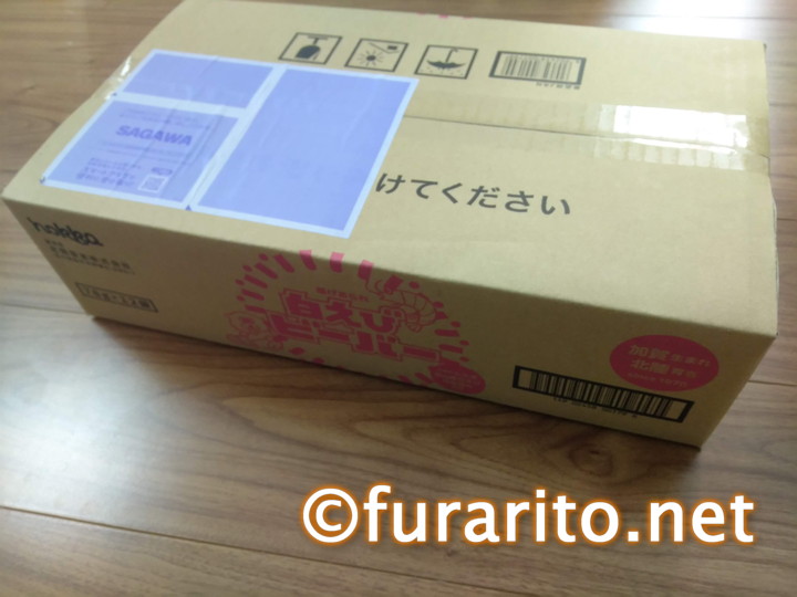 白えびビーバー2